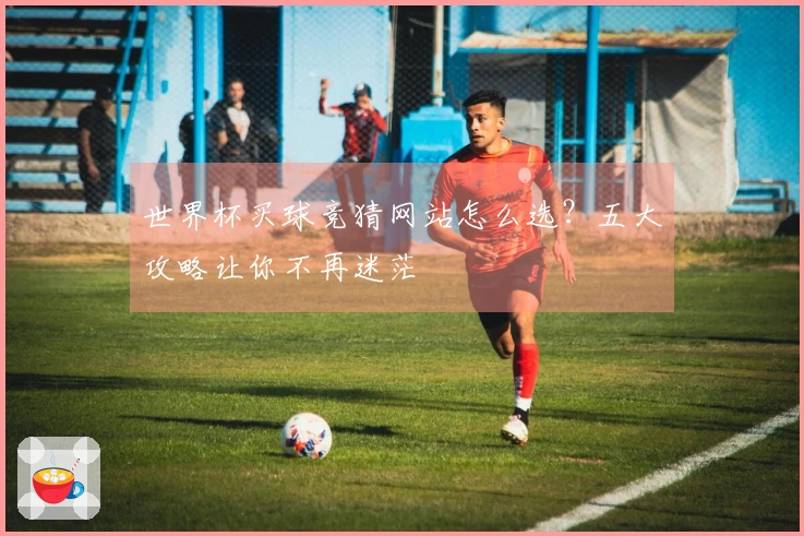 世界杯买球竞猜网站怎么选？五大攻略让你不再迷茫